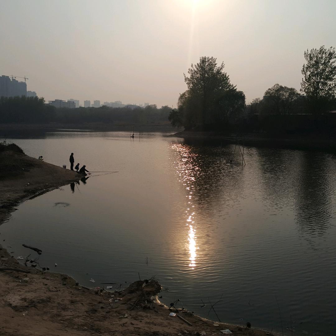 小刘