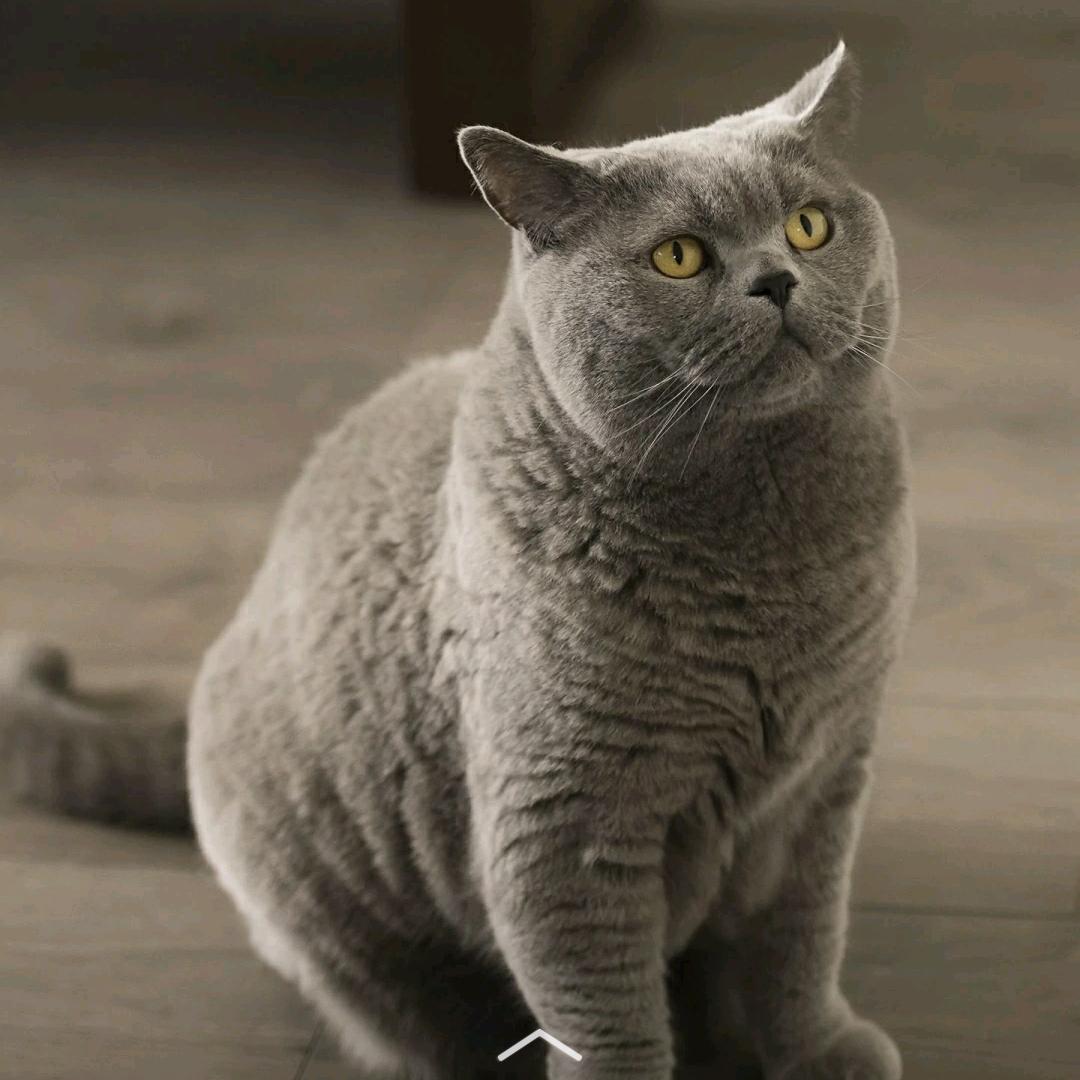 顺其自然