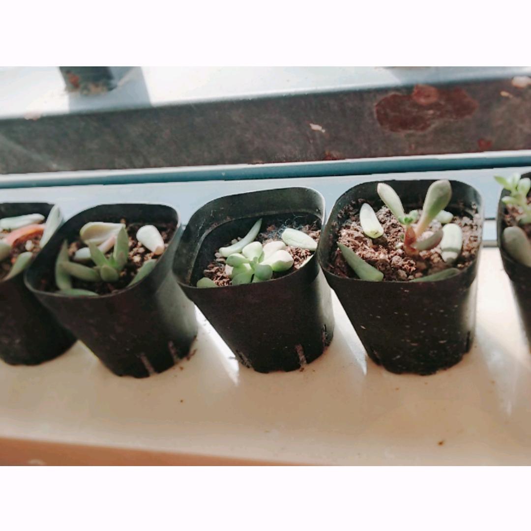 ☜姗姗♥来迟☞