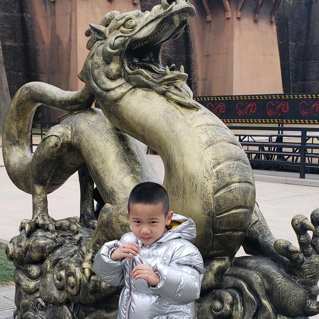 功夫小子小龙哥