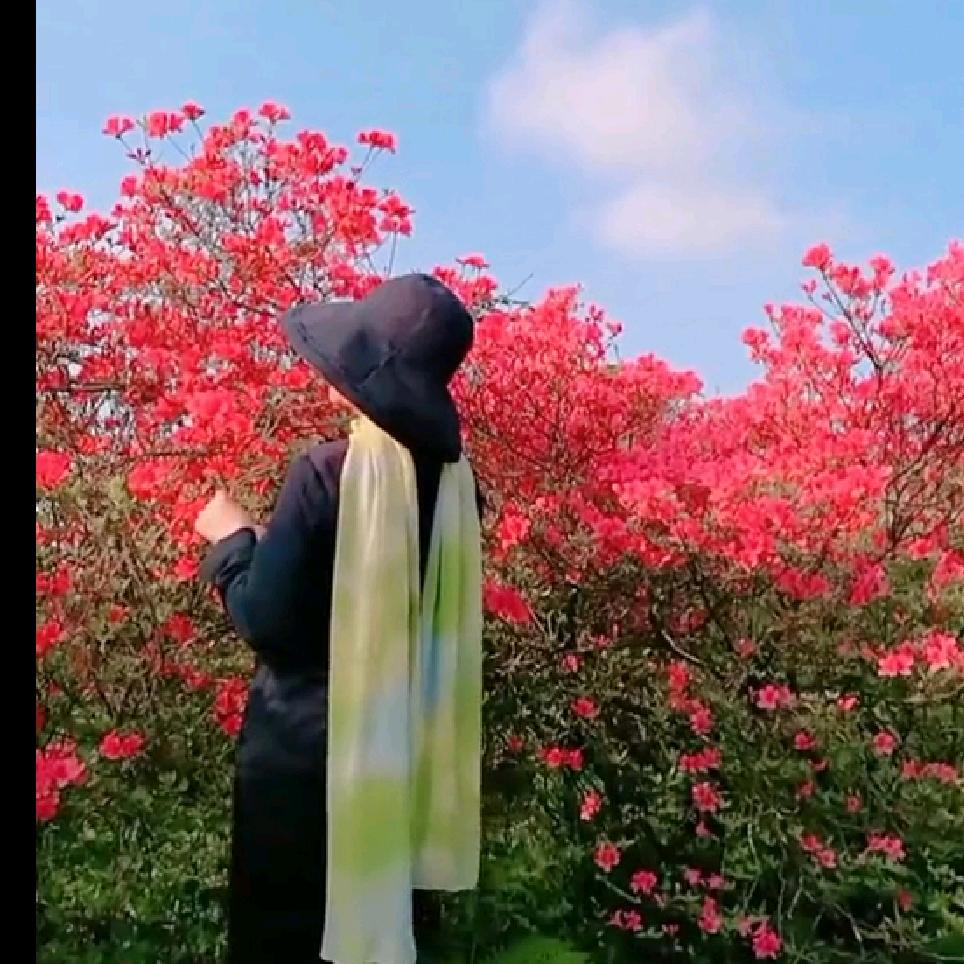 蔡黎丽爱六安（安徽六安）