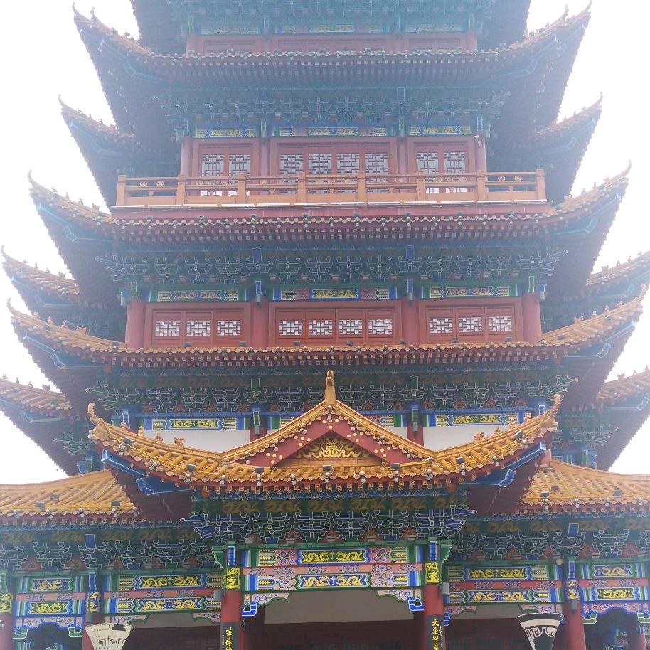 随风而动