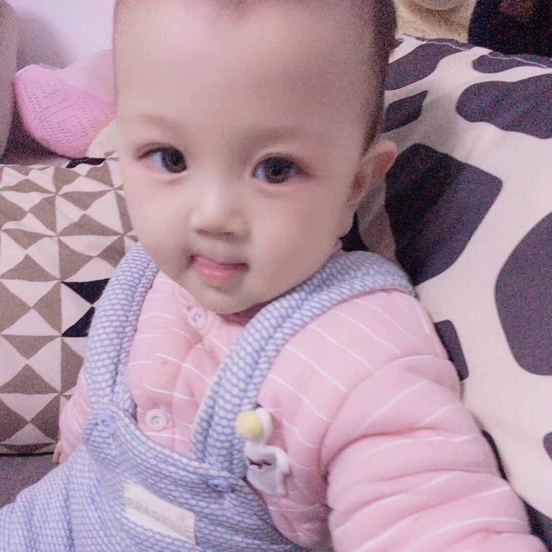 帆帆爸