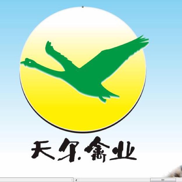 龙岩狮头鹅生鲜配送