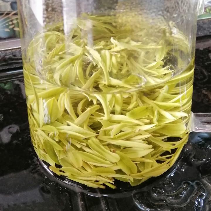 来自安吉的白茶