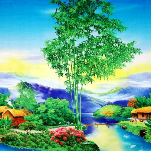 冬去春来（拒绝私聊）