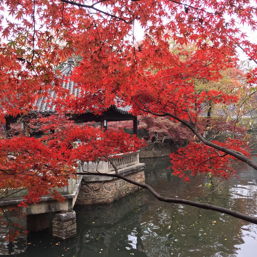 小陆陆