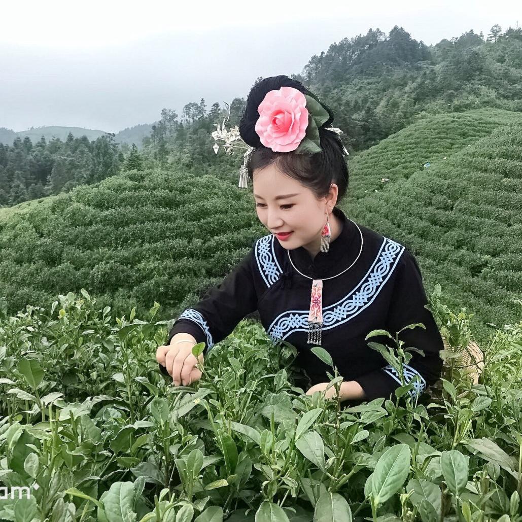 毛克翕贵州省雷山县毛克翕茶叶专卖店