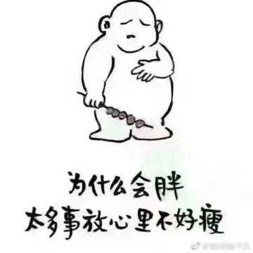 四季游荡