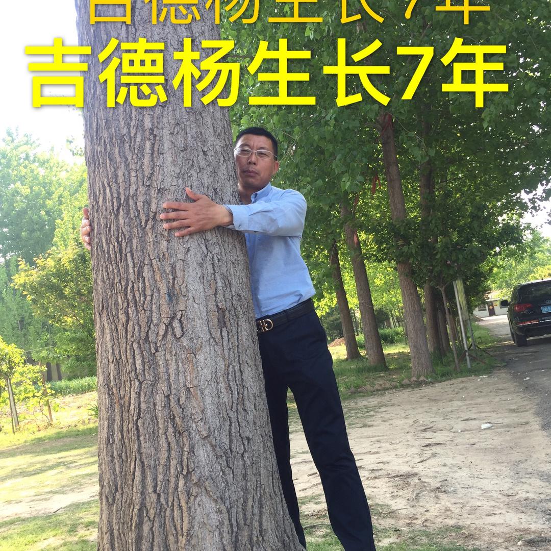 吉德智慧农林（吉德杨培育人张继锋）