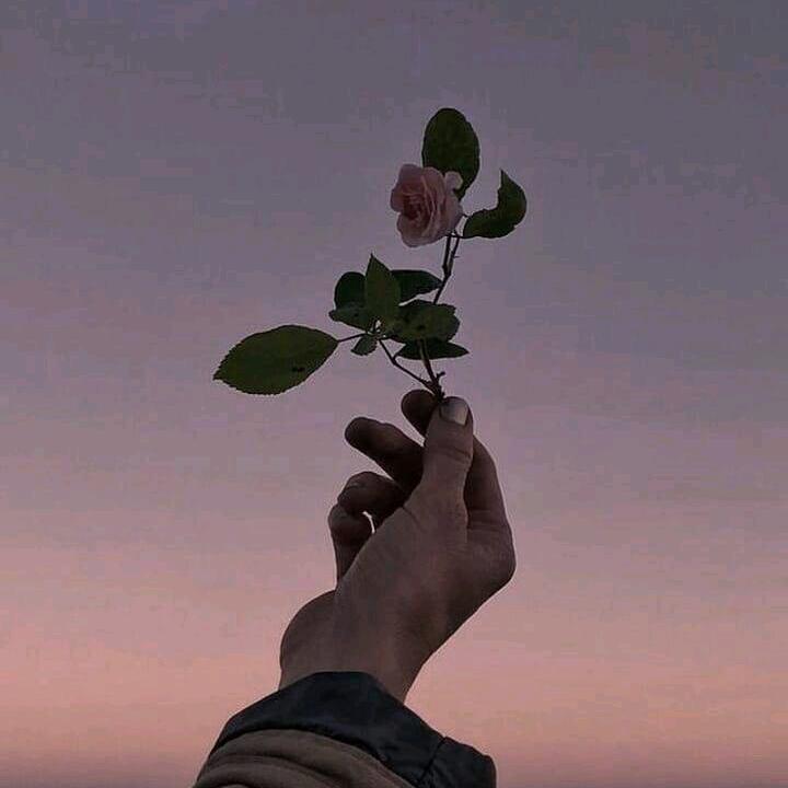 网名💫