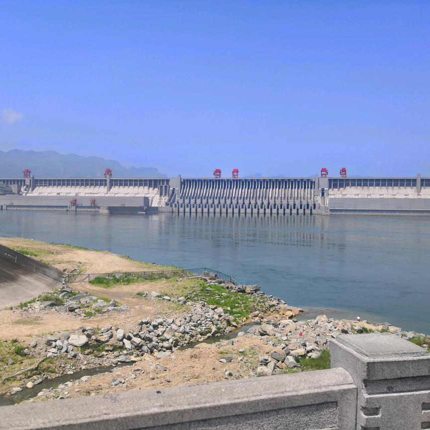 山西如亮青年鸡养殖基地 张磊