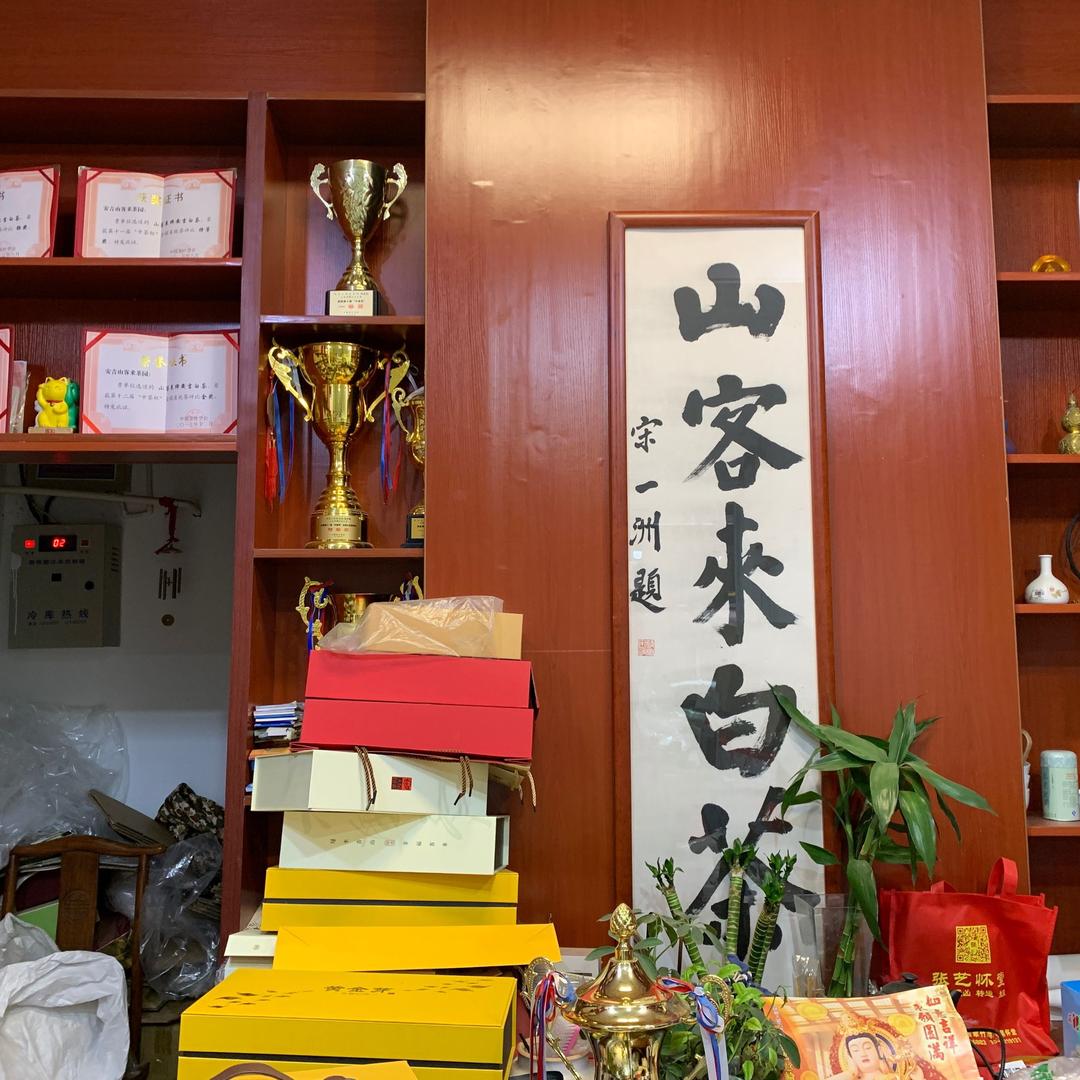 安吉山客来茶园