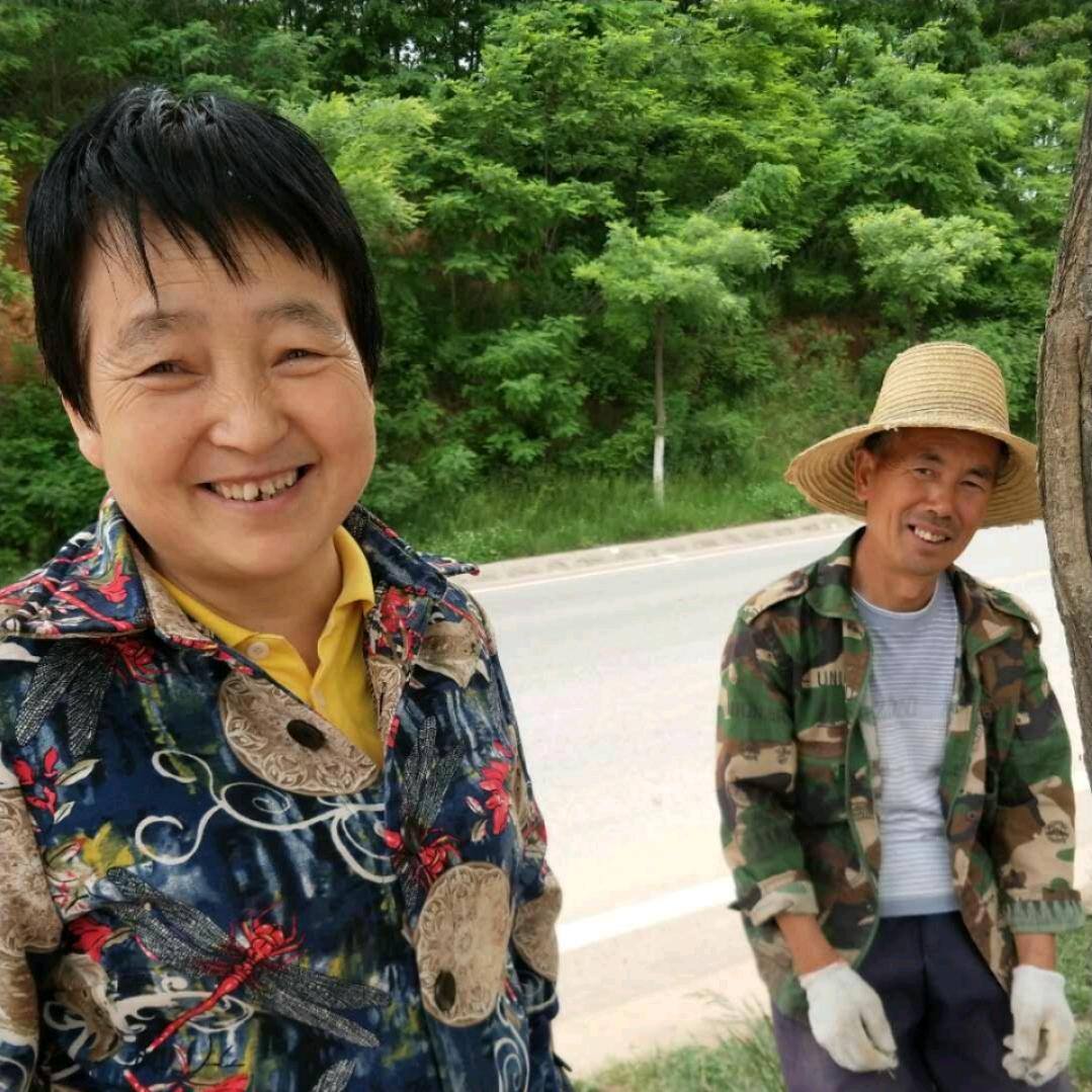 灰太郎