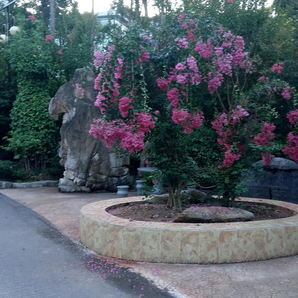 王幺妹努力吧！