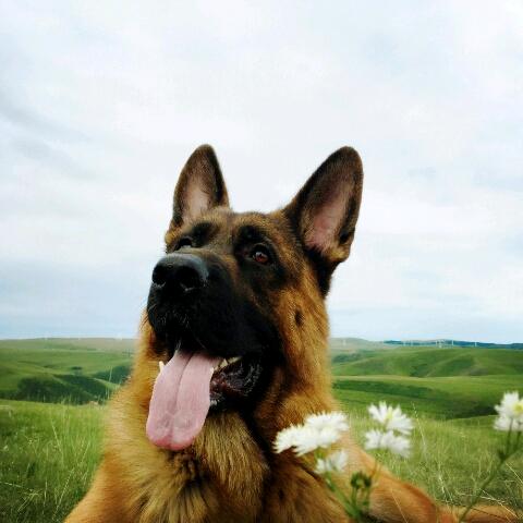 幸福的伊万和小七