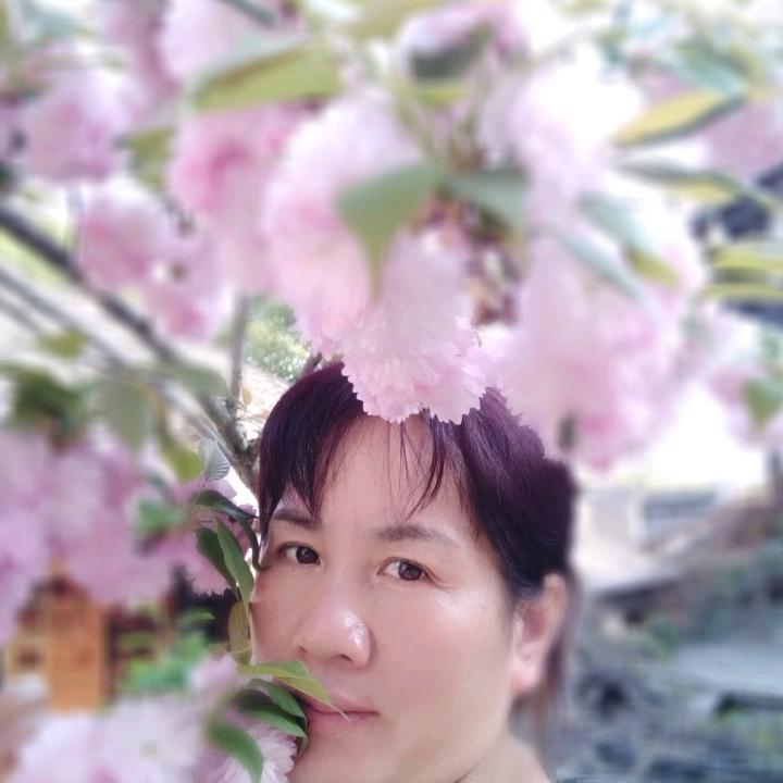 松芬媛果