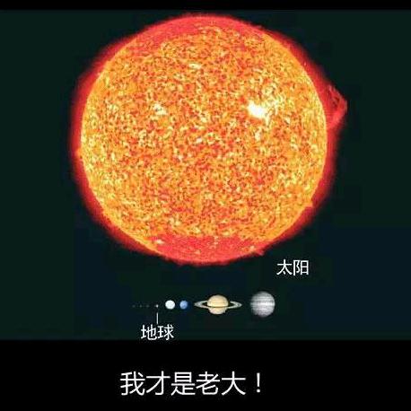 ●至尊●