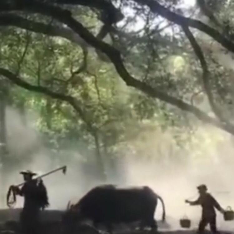 过往云烟