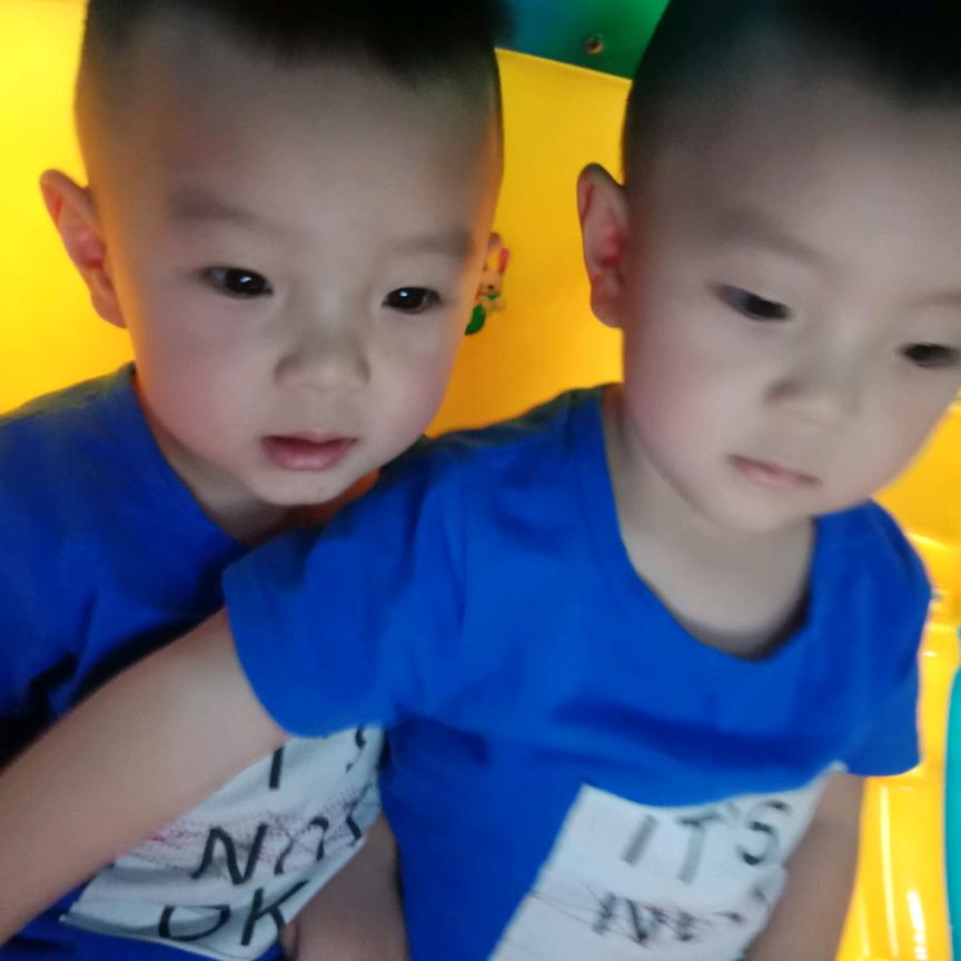 海尔兄弟
