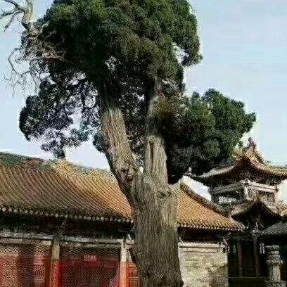 一生平安