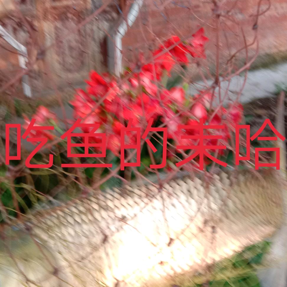 徐怀文