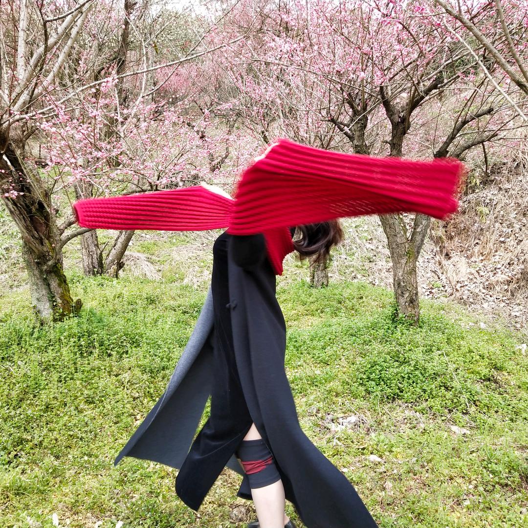 燕子-