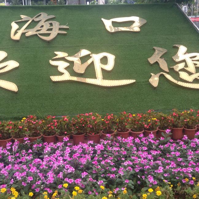 いらっしゃいませ