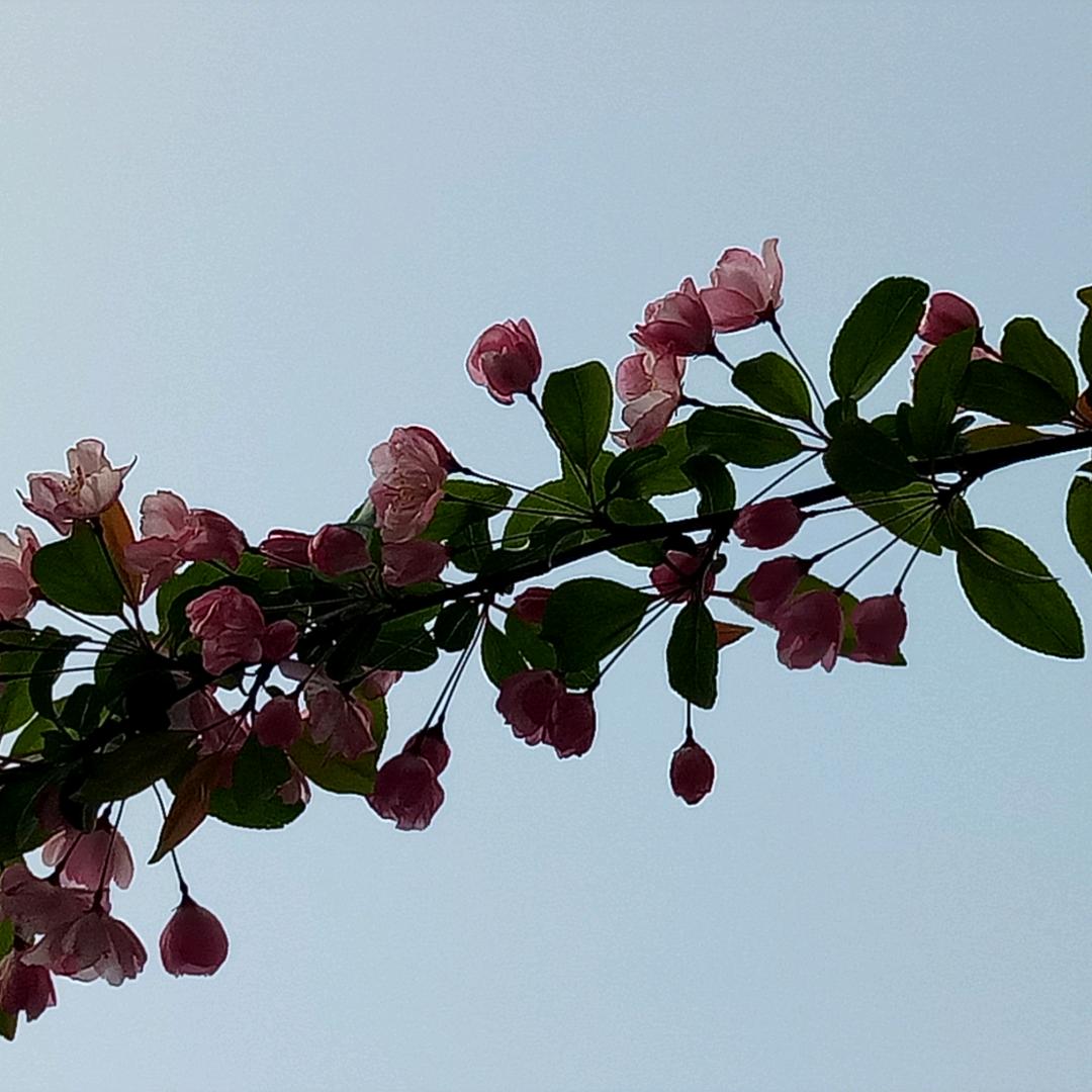 慢步～人生