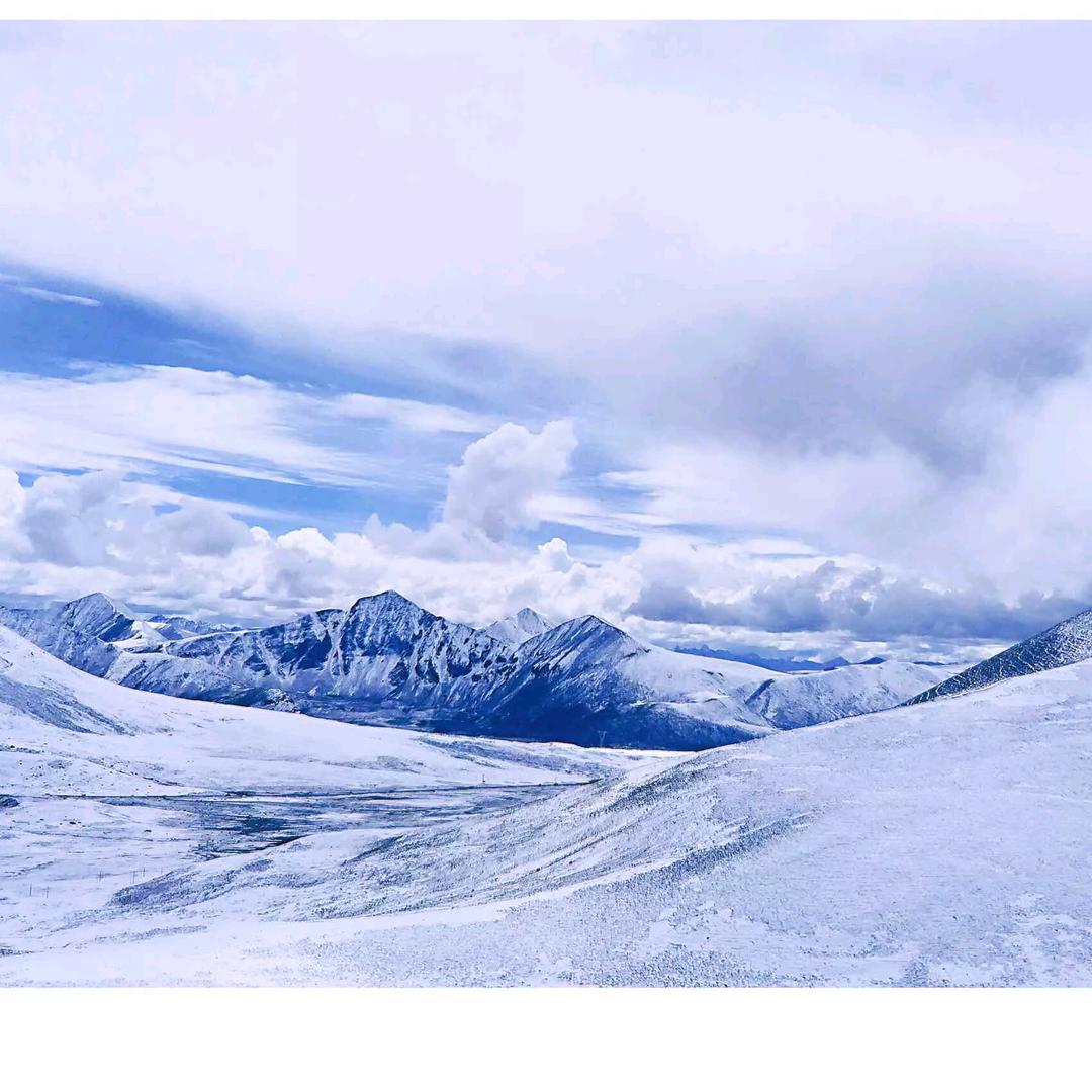 川藏，川西，云南领队