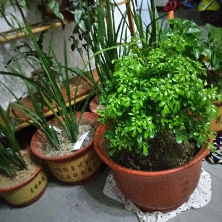幸福