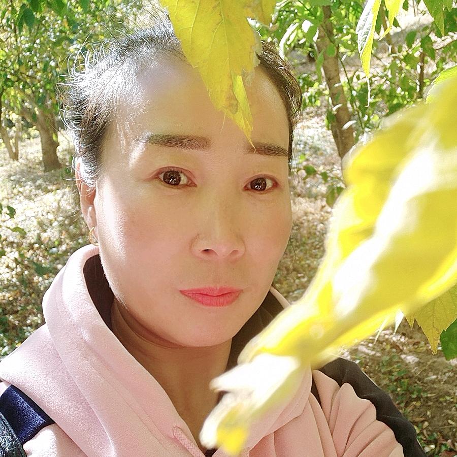 鑫隆鑫家具有限公司(展具专业订制)