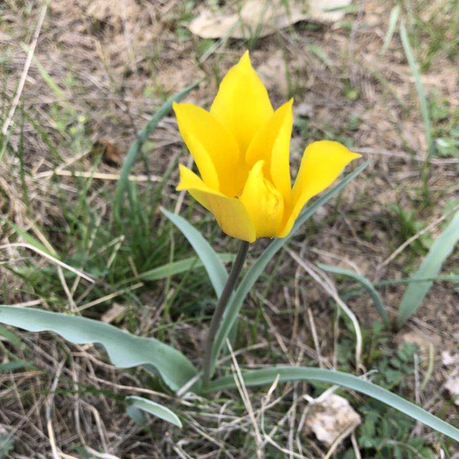 诸城市信泽屠宰设备