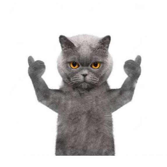 小9   (三角洲行动)