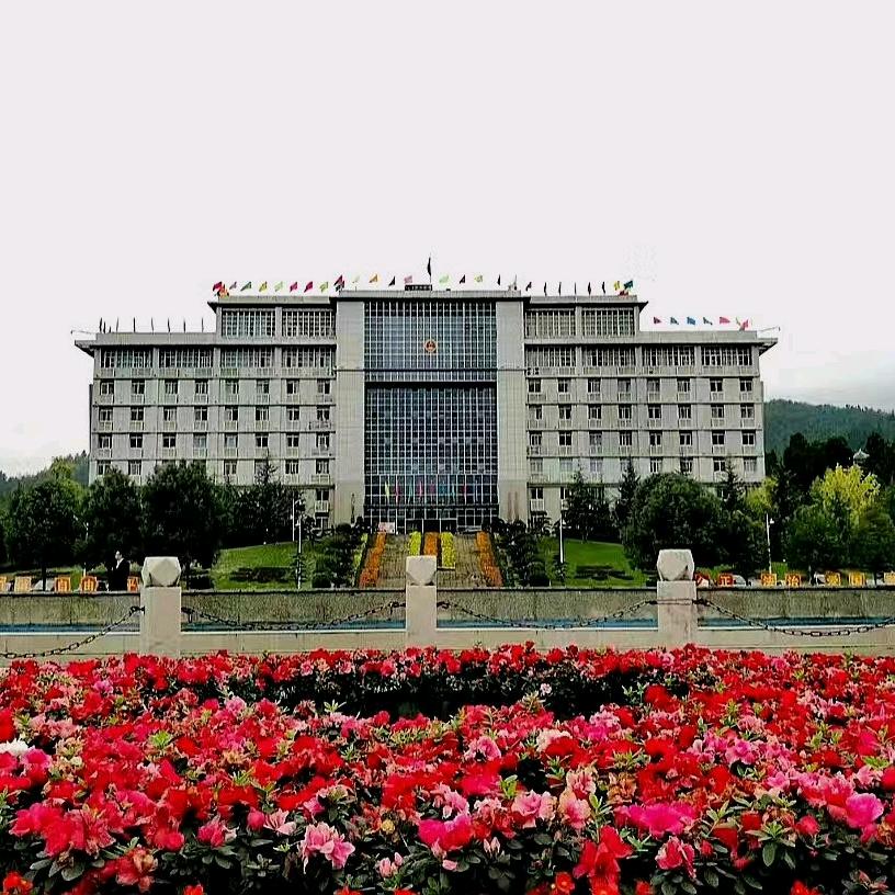 寸心草（洪渡大哥）