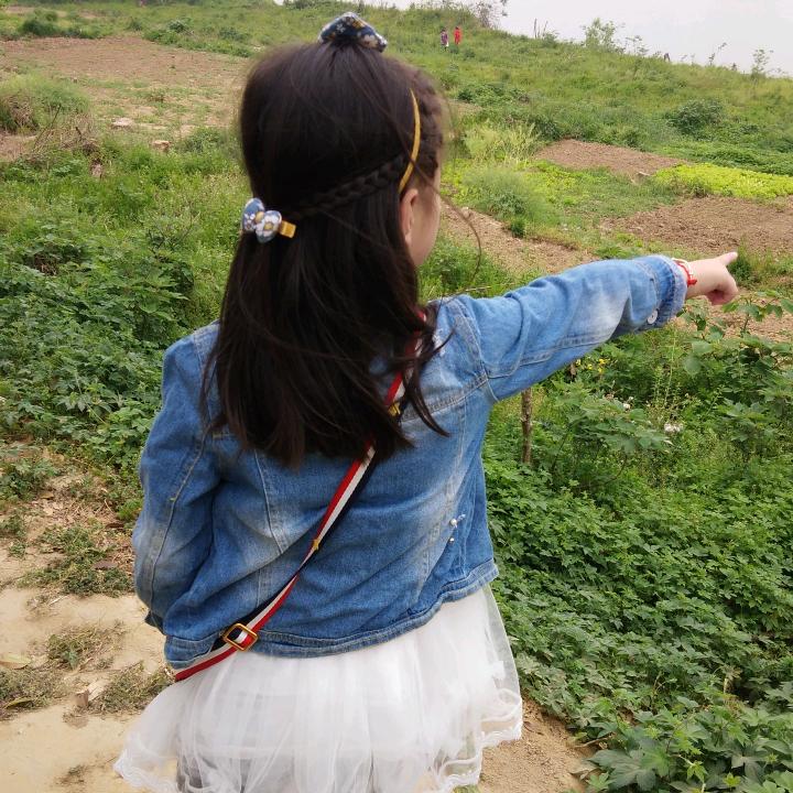 山茶花开在年糕里