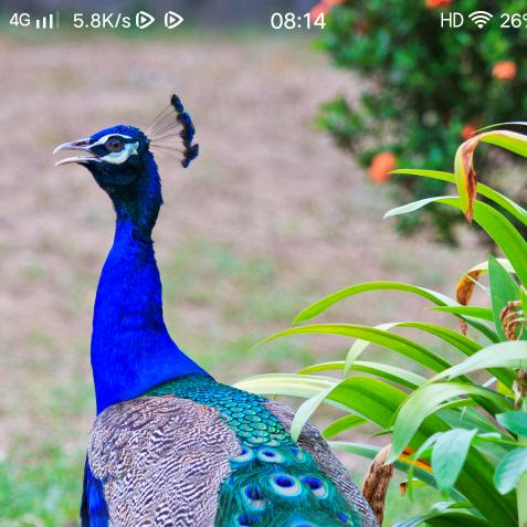 东魏电车专业维修