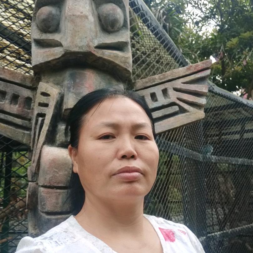 完美人生8245331943268