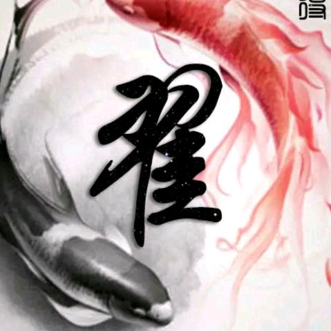 宜阳水兑佳鑫不锈钢门业