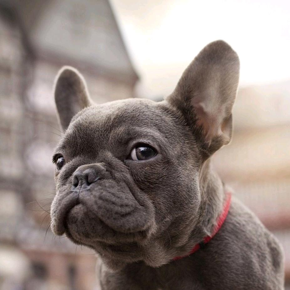 ꧁꫞遙遠的ta*秋意濃꫞꧂