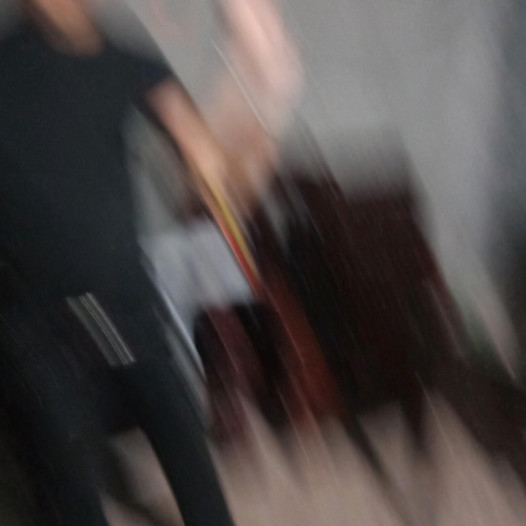 王哥家盆景