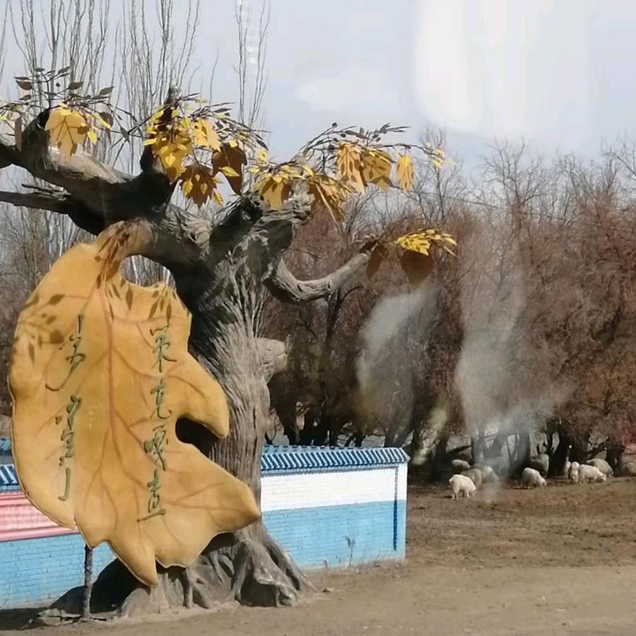 瑞宁能源
