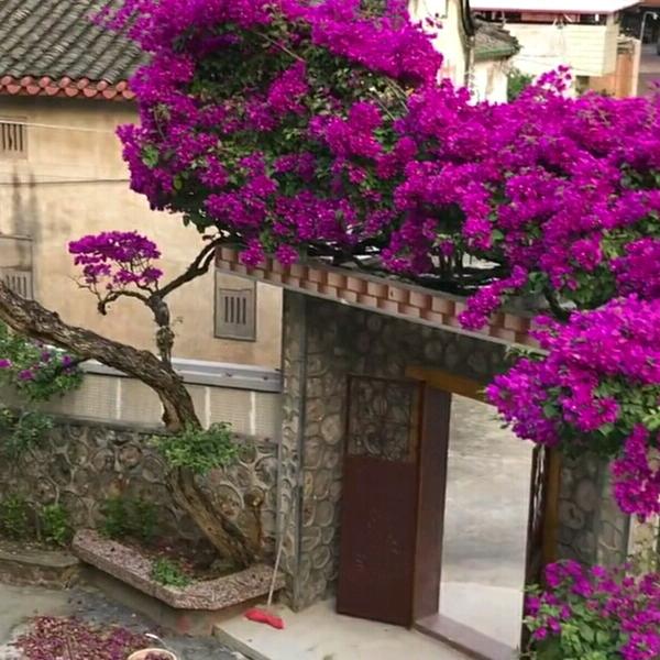 我在看时光的步伐