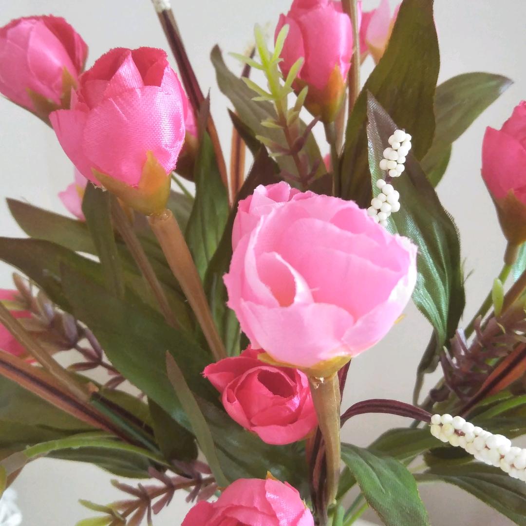 ，陈姐爱唱歌跳舞每天11一13点直播