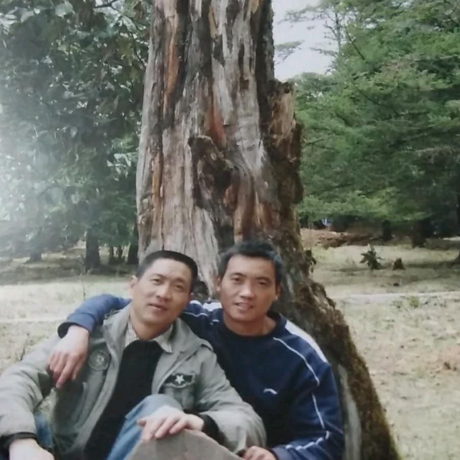 充了电的萤火虫