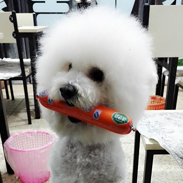 经典佐罗
