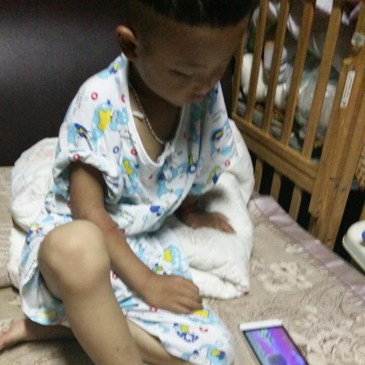 晨宝