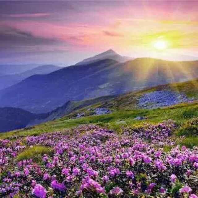 微笑江花