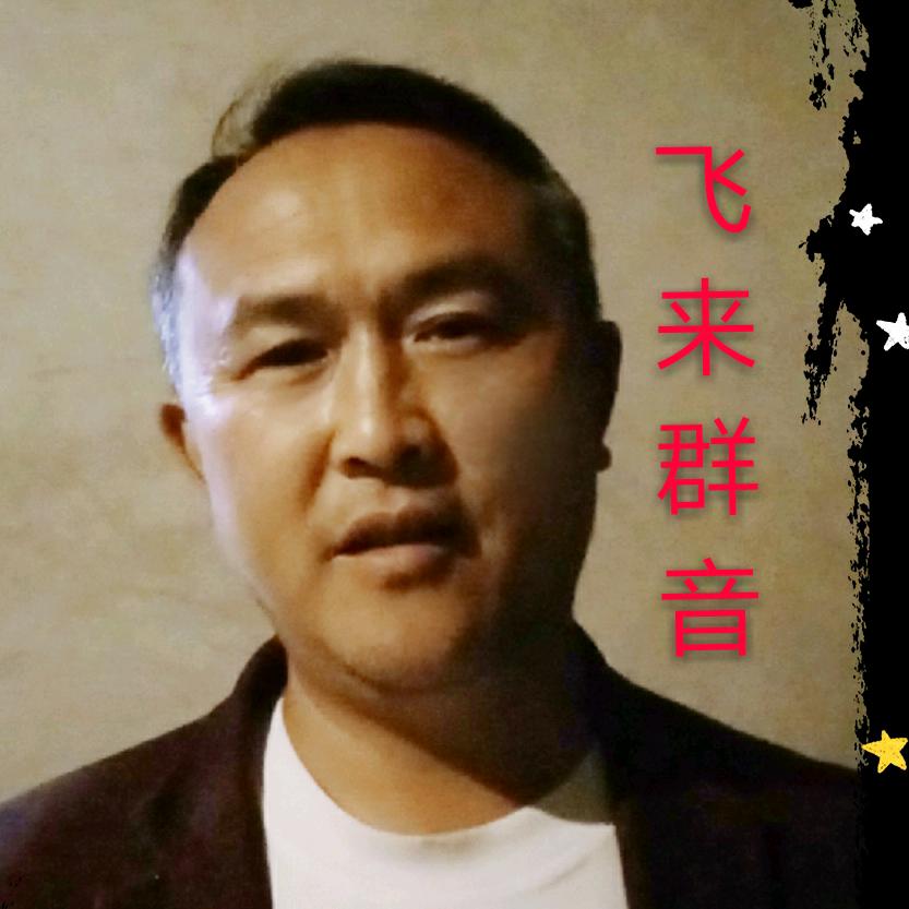 飞来群音