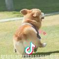 君霖